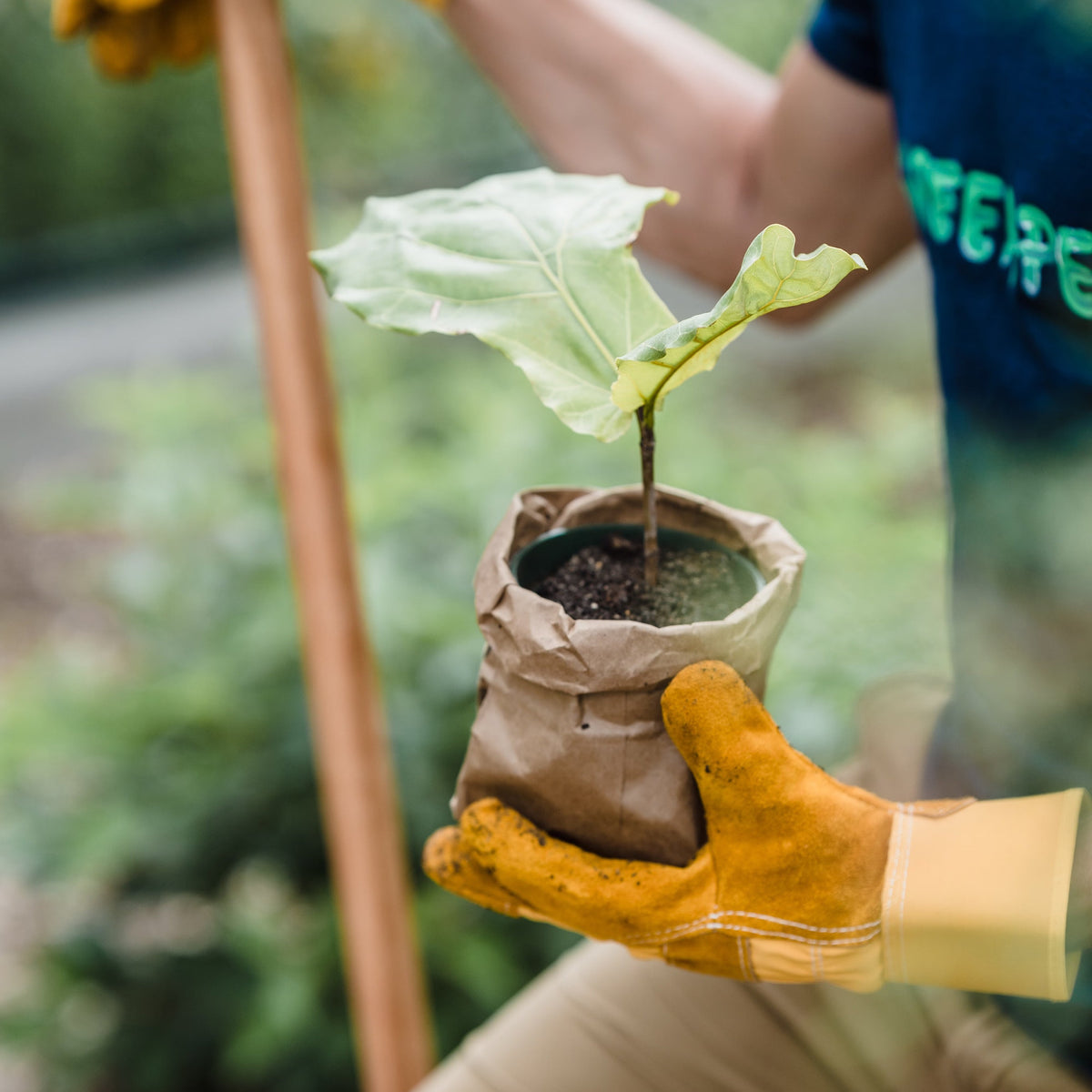 Gardening & Lawn Care