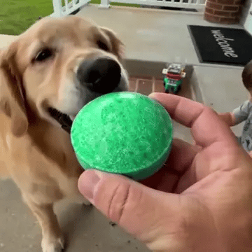 Natural Rodent Repellent Balls