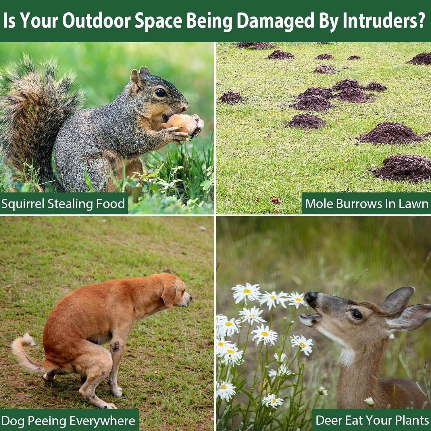 Guardixim Solar Powered Fox Repeller