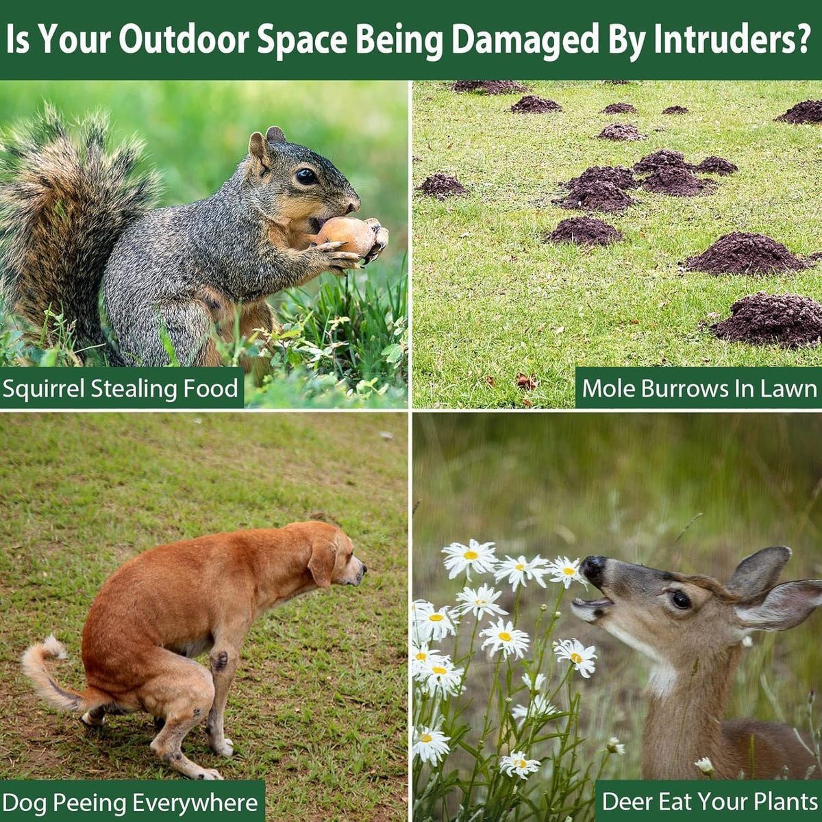 Guardixim Solar Powered Fox Repeller